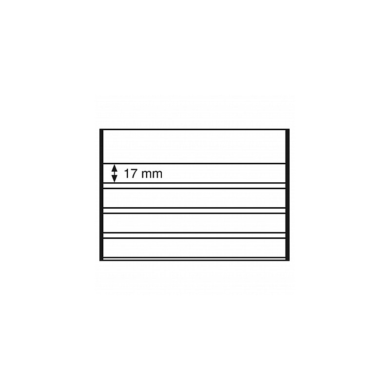 Leuchtturm 341467 – 100 Cartes D’insertion Pour Timbres – 4 Bandes PVC Transparent, 158 X 113 Mm – Qualité Pro Pour Collectionneurs