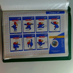 Collection entiers, cartes commémoratifs de France en 2 albums.