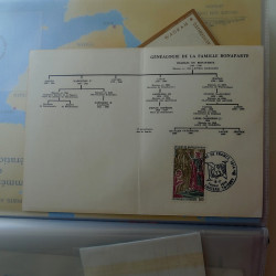 Collection entiers, cartes commémoratifs de France en 2 albums.