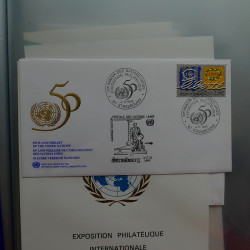 Collection entiers, cartes commémoratifs de France en 2 albums.