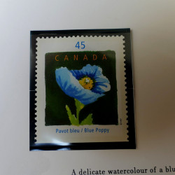 Collection des timbres du Canada 1997 en livret annuel.