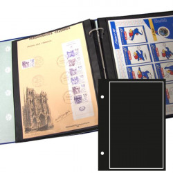 Recharges Futura GIGA à 1 poche pour mini feuilles, Affiches de timbres.