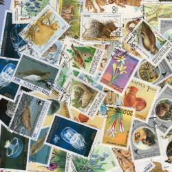 Etats Russes 50 timbres de collection tous différents.