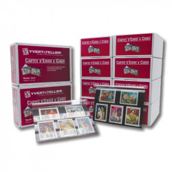 Pack de 1000 cartes de classement à 3 bandes pour timbres.