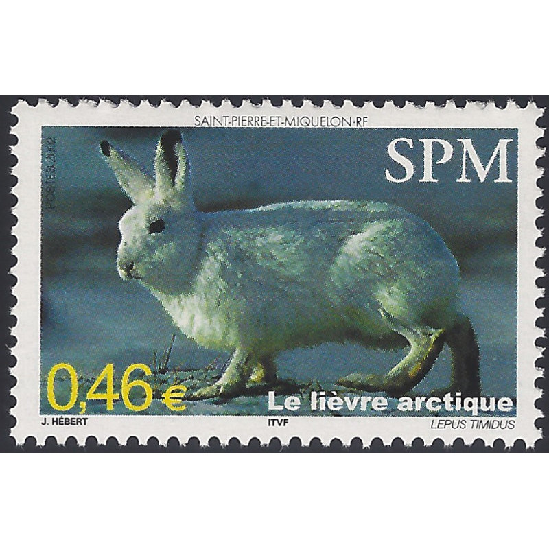 Le lièvre arctique timbre de Saint Pierre et Miquelon N°782 neuf**.