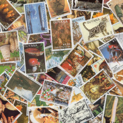 Guyane timbres de collection tous différents.