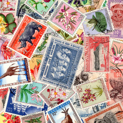 Congo Belge avant 1961 timbres de collection.