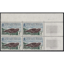 Léopard de mer timbre T.A.A.F. N°13B bloc de 4 cdf neuf**.