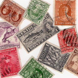 Terre Neuve 10 timbres de collection tous différents.