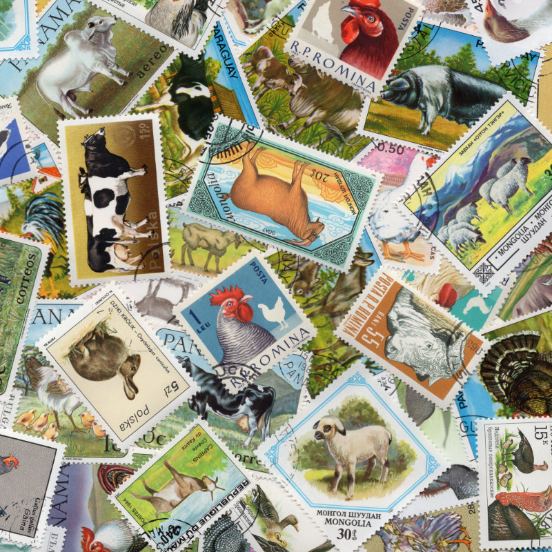Collection De Timbres Oblitérés - 100 Timbres Différents Sur Le Thème Chats Et Chiens