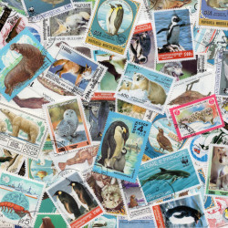 Animaux Polaires 50 timbres thématiques tous différents.