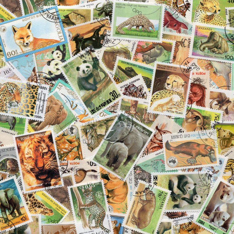 Animaux sauvages timbres thématiques tous différents.