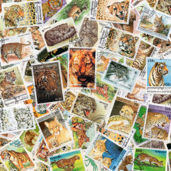Félins timbres thématiques tous différents.