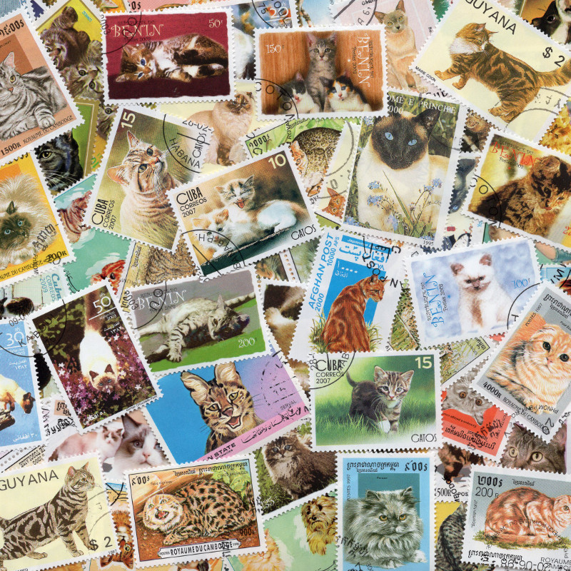Chats timbres thématiques tous différents.