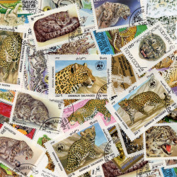 Panthères 25 timbres thématiques tous différents.