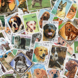 Chiens timbres thématiques tous différents.