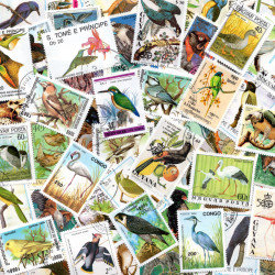Oiseaux timbres thématiques tous différents.