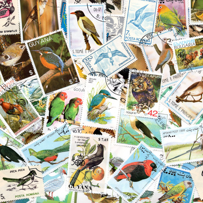 Oiseaux 50 timbres thématiques grands formats tous différents.