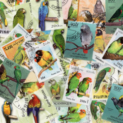 Perroquets timbres thématiques tous différents.