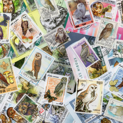 Chouettes et Hiboux 50 timbres thématiques tous différents.