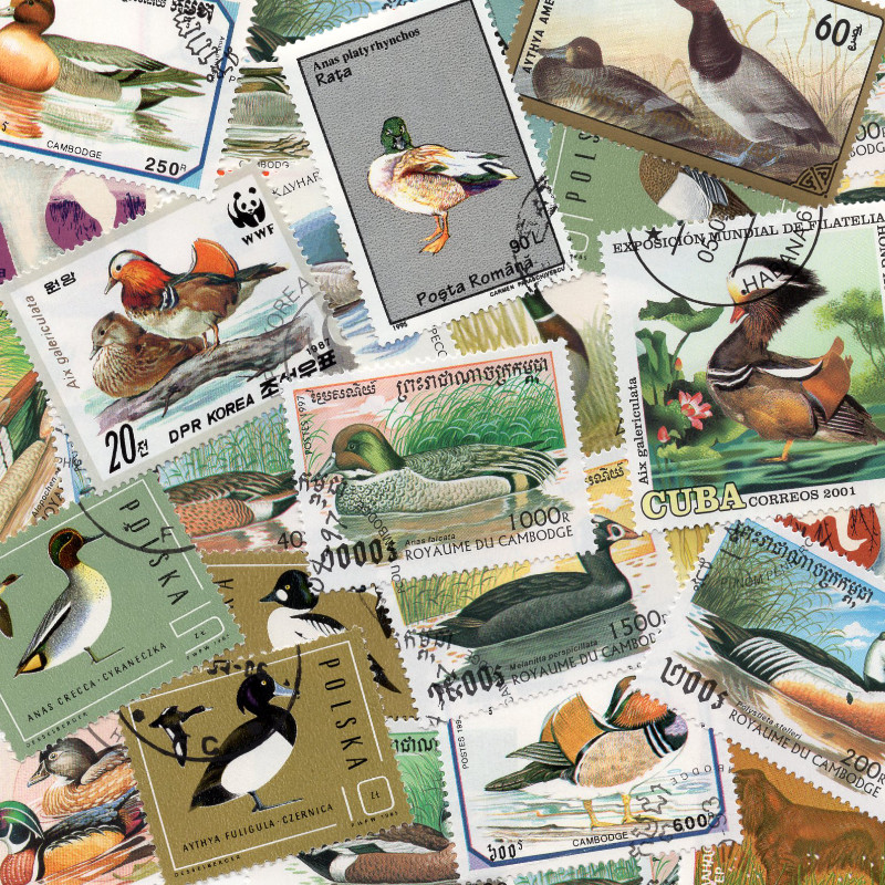 Canards 25 timbres thématiques tous différents.