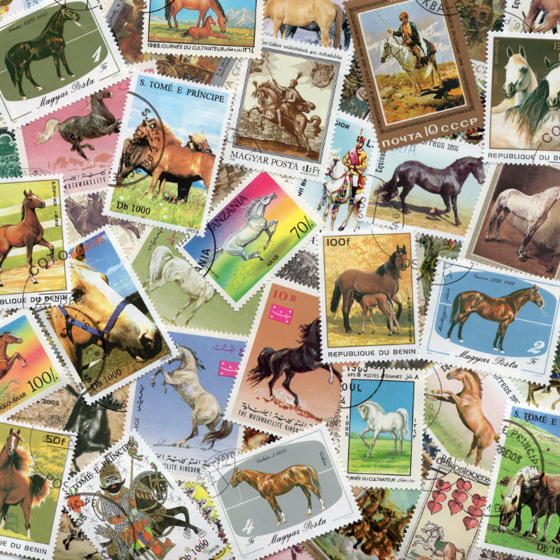 50 Timbres Divers Chevaux Et équitation - Collection Timbres Chevaux, Zèbres | Pour Philatélistes, Loisirs Créatifs