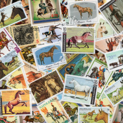 Chevaux 50 timbres thématiques grands formats tous différents.