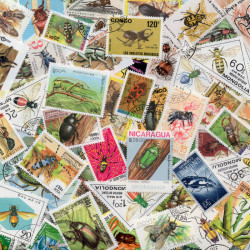 Insectes timbres thématiques tous différents.