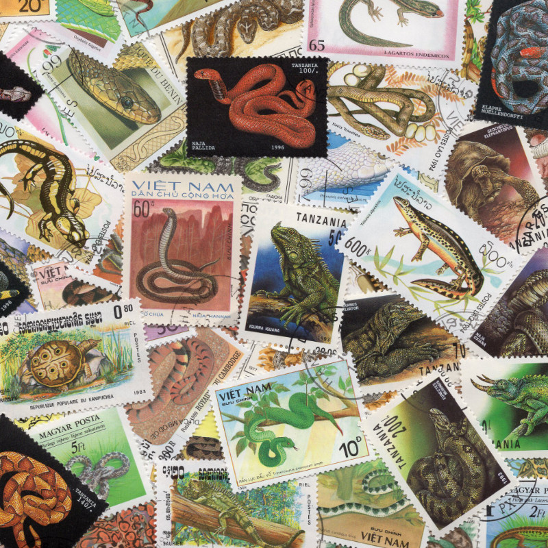 Reptiles timbres thématiques tous différents.