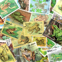 Grenouilles 25 timbres thématiques tous différents.