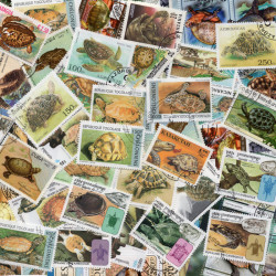 Tortues timbres thématiques tous différents.