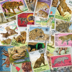 Léopards 25 timbres thématiques tous différents.