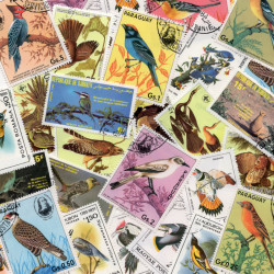 Peintre Audubon 25 timbres thématiques tous différents.