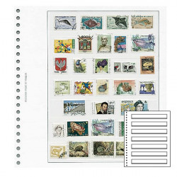 Recharges Régent-Supra Yvert à 7 bandes pour timbres-poste.