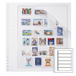 Recharges neutres Duo-Supra Yvert à 6 bandes pour timbres-poste.