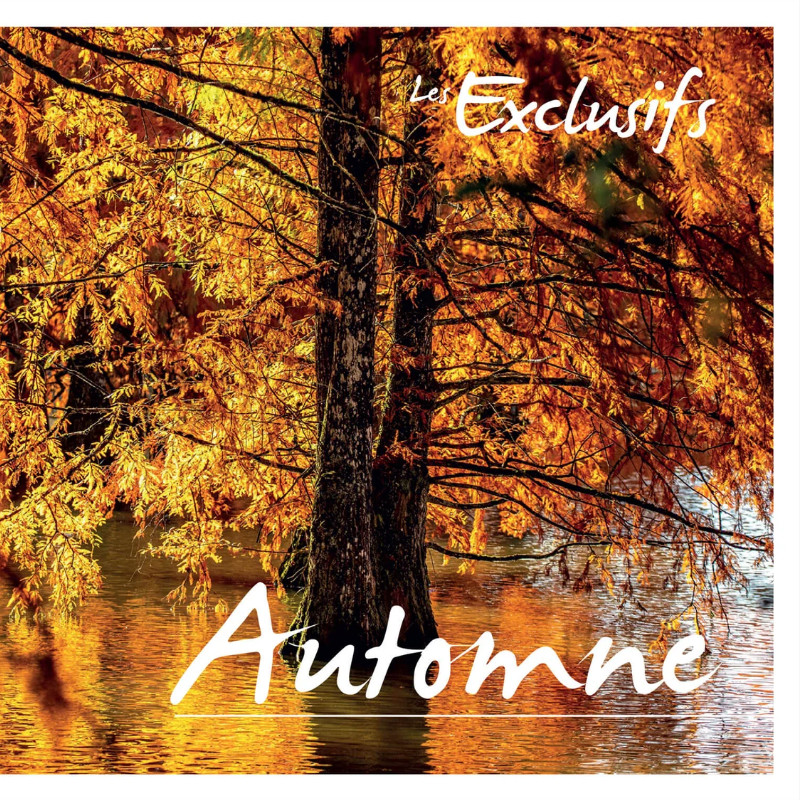 Collector 4 timbres Automne - Les arbres.