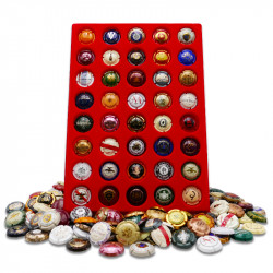 SAFE-ID - Articles de collectionneurs - Classeur pour 168 Capsules de  Champagne 7880 : : Fournitures de bureau