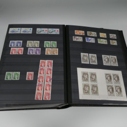 Collection timbres de France 1960-1979 neufs et oblitérés en 2 albums.