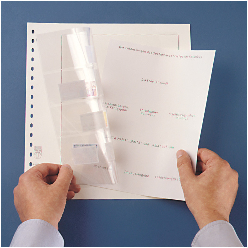 Feuille intercalaire en plastique 8,5 po x 11 po (paquet de 10