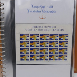 Collection feuillet de timbres Liechtenstein Europa 1961-1999 en 2 albums.