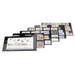 Cartes de rangement en PVC 210 x 143 mm à 3 bandes pour timbres-poste.