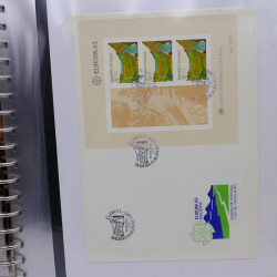 Collection feuillets de timbres Europa 1960-1999 en 13 albums.