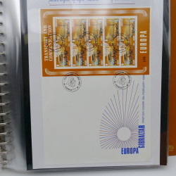 Collection feuillets de timbres Europa 1960-1999 en 13 albums.