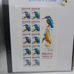 Collection feuillets de timbres Europa 1960-1999 en 13 albums.