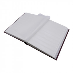 Classeur grand format 60 pages blanches pour timbres.