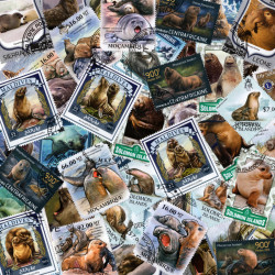 Phoques et otaries 50 timbres thématiques tous différents.