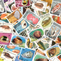 Coquillages 50 timbres thématiques tous différents.