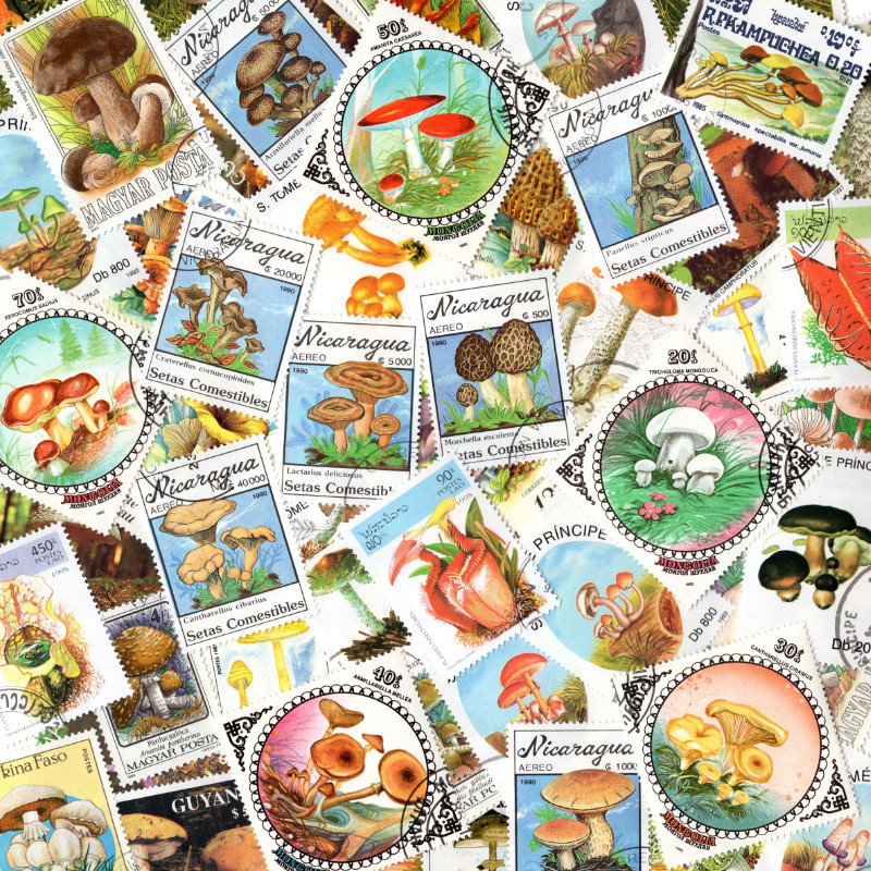 Champignons timbres thématiques tous différents.