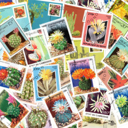 Cactus timbres thématiques tous différents.