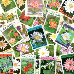 Plantes aquatiques 25 timbres thématiques tous différents.